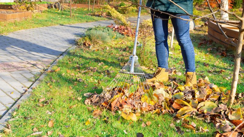 Lawn Raking Service