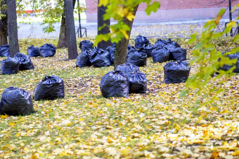Leaves Being Bagged