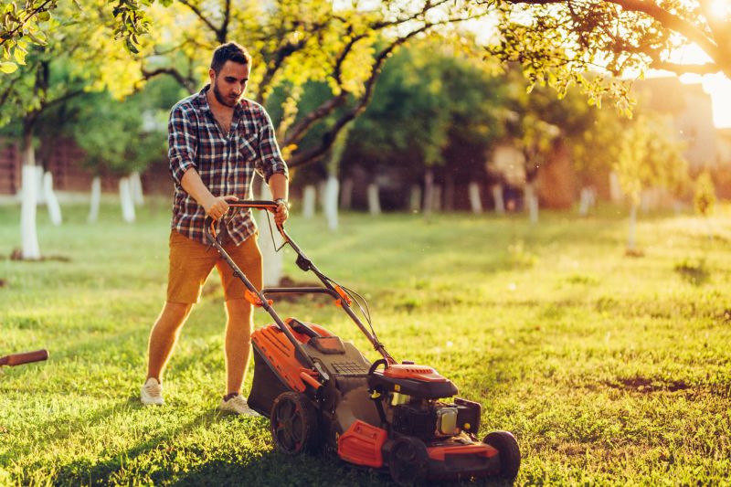 Lawn Care And Maintenance