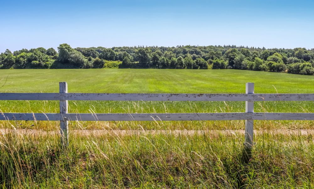 Fence Line Clearing