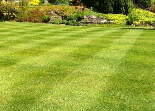 Commercial Grass Cutting in Bainbridge Island