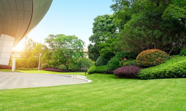 Commercial Lawn Mowing in Bainbridge Island