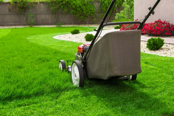Grass Mowing in Bainbridge Island