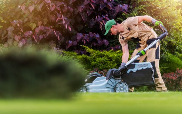 Lawn Care And Maintenance in Bainbridge Island