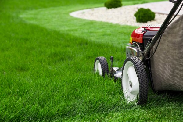 Mowing Service in Bainbridge Island