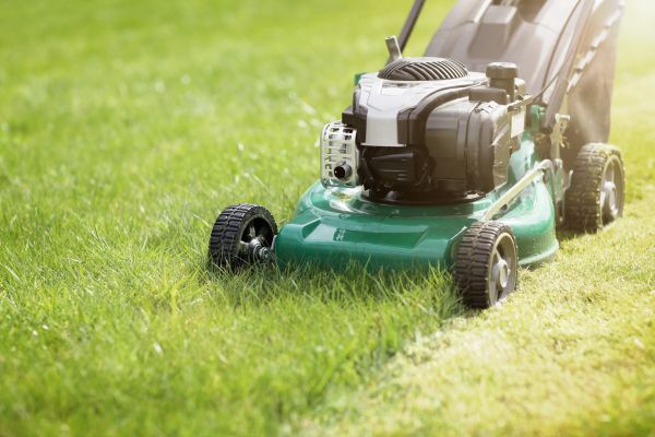Cost of Yard Cutting in Bainbridge Island