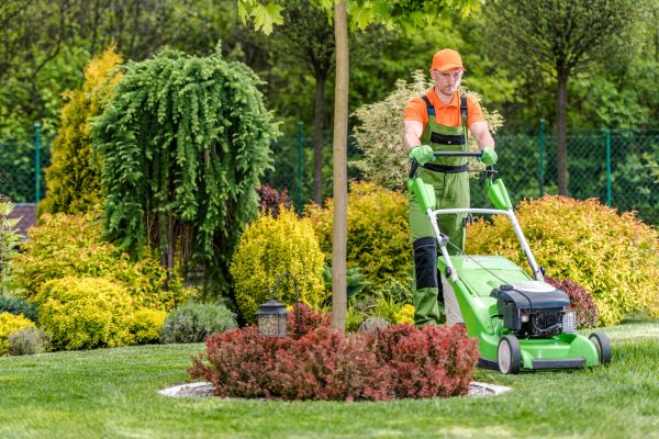 Yard Service in Bainbridge Island