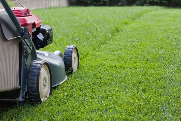 Residential Lawn Care in Bainbridge Island
