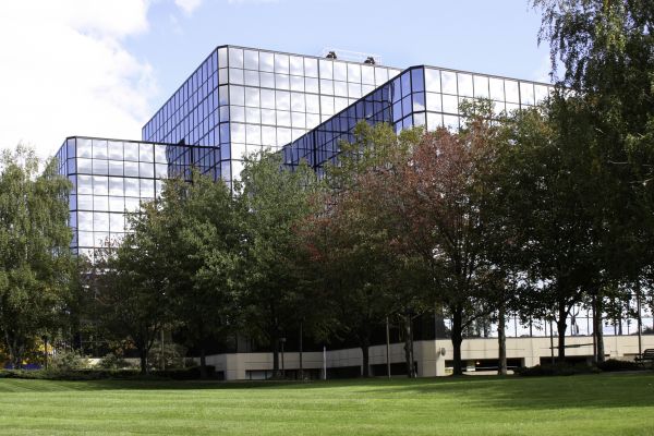 Commercial Lawn Service in Bainbridge Island