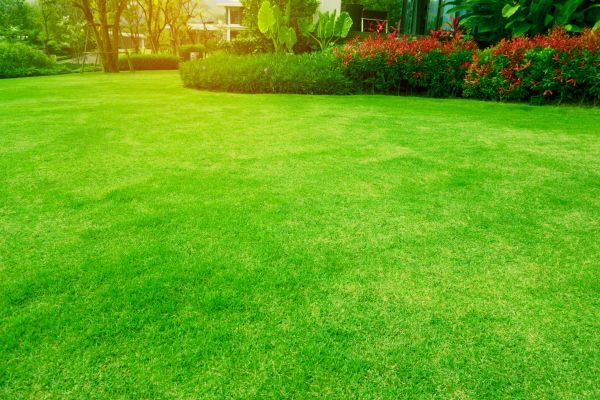 Cost of Grass Maintenance in Bainbridge Island
