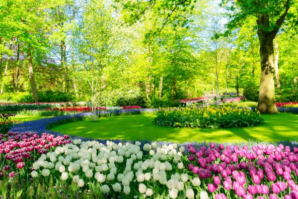 Cost of Spring Lawn Care in Bainbridge Island