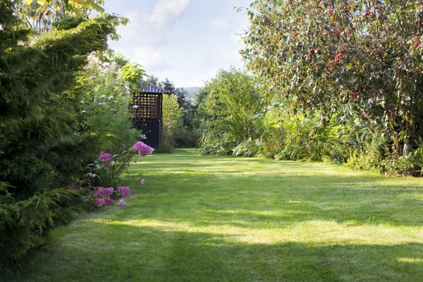 Yard Upkeep Service in Bainbridge Island