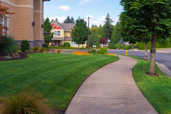 Cost of Home Lawn Maintenance in Bainbridge Island