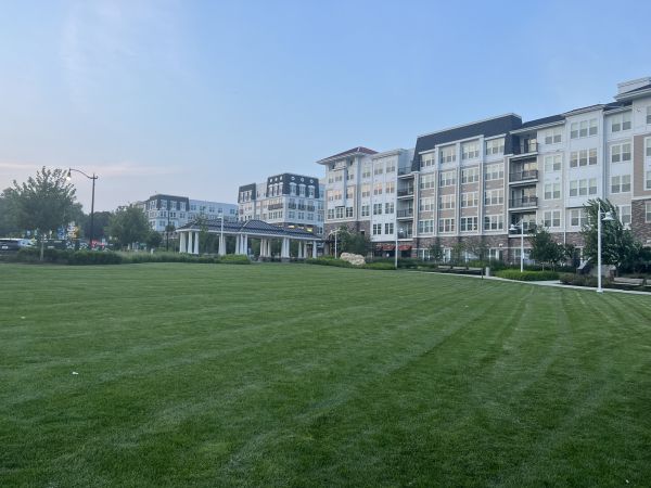 Cost of Urban Lawn Care in Bainbridge Island