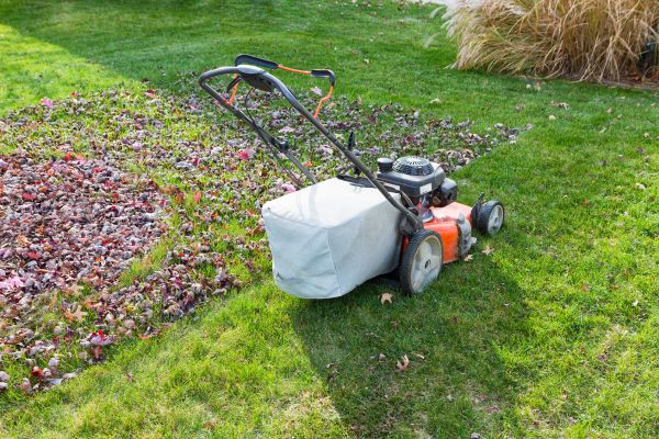 Seasonal Lawn Care in Bainbridge Island
