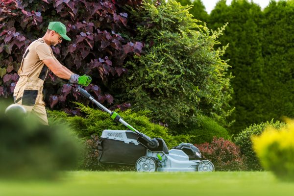 Lawn Management in Bainbridge Island