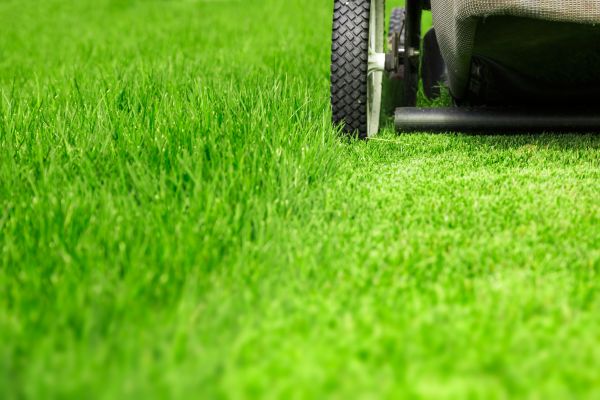 Weekly Lawn Care in Bainbridge Island