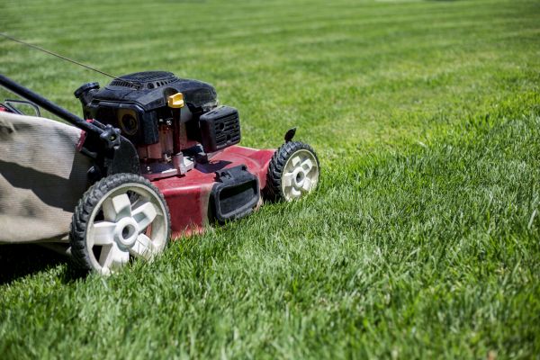 Routine Lawn Care in Bainbridge Island