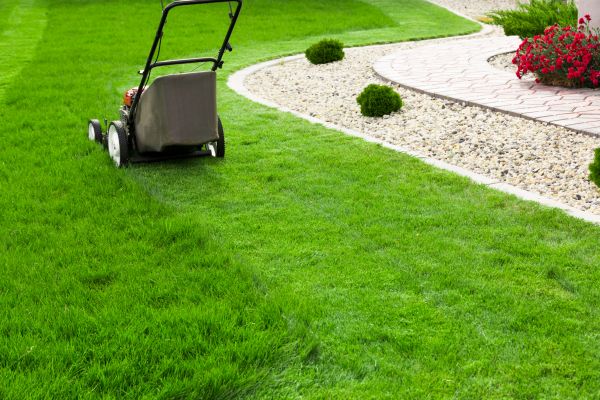 Regular Lawn Maintenance
