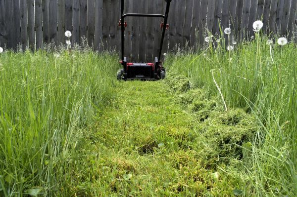 High Grass Mowing in Bainbridge Island