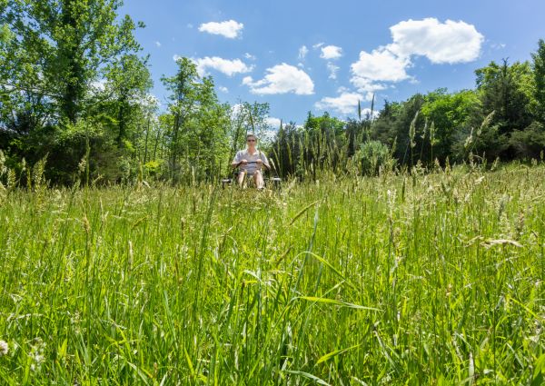 Long Grass Mowing in Bainbridge Island