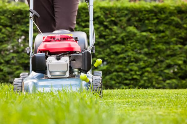Grass Trimming Service in Bainbridge Island