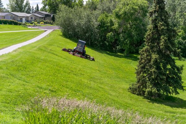 Hill Mowing in Bainbridge Island