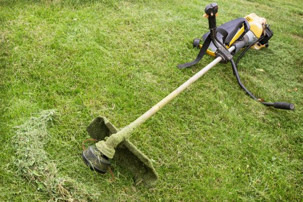 Cost of Hillside Weed Whacking in Bainbridge Island