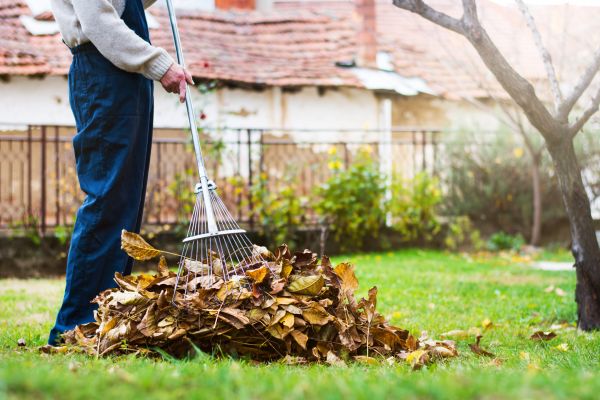 Cost of Routine Lawn Maintenance in Bainbridge Island