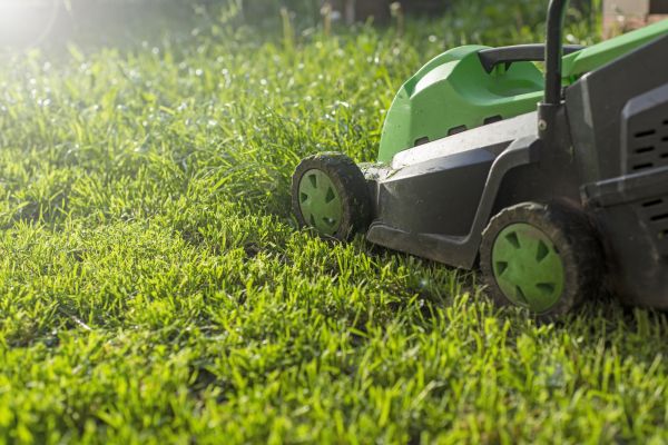Cost of Yard Trimming in Bainbridge Island