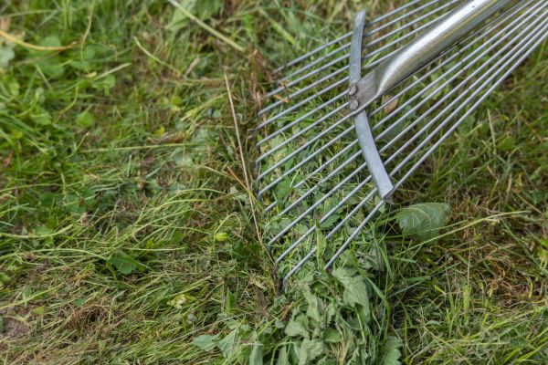 Cost of Thatch Raking in Bainbridge Island