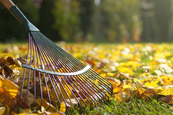 Seasonal Lawn Maintenance