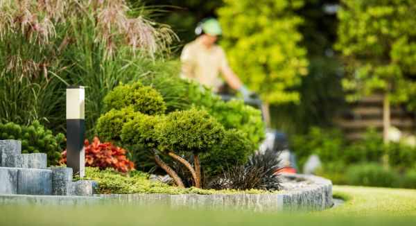 Residential Yard Maintenance in Bainbridge Island