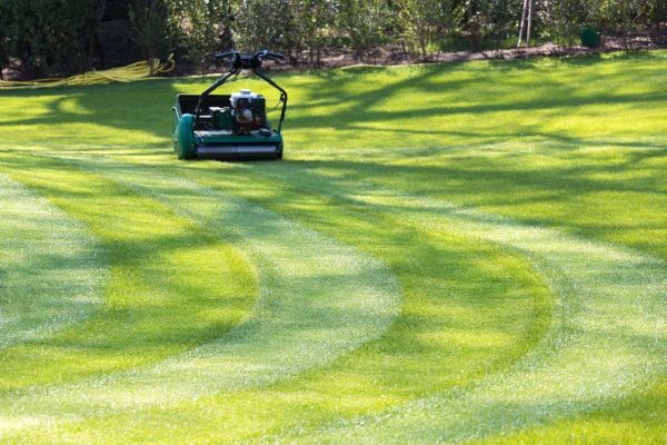 Business Lawn Mowing in Bainbridge Island