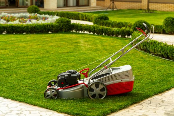 Business Grass Cutting in Bainbridge Island