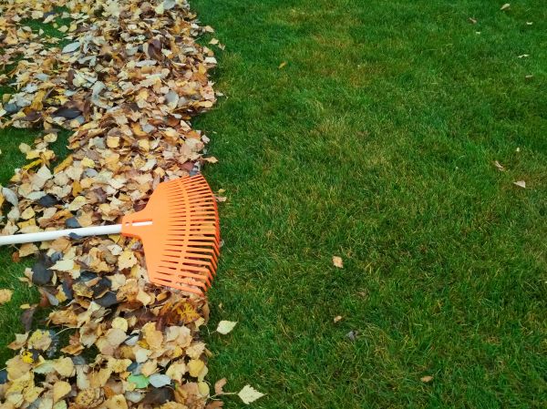 Fall Lawn Care in Bainbridge Island