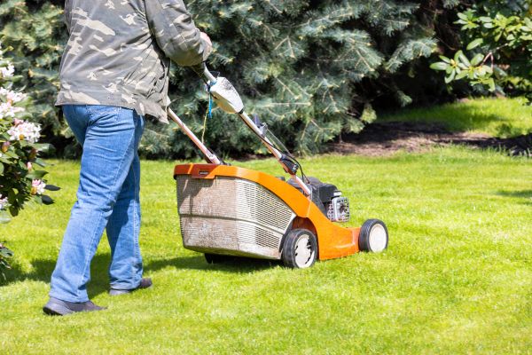 Cost of Springtime Lawn Care in Bainbridge Island