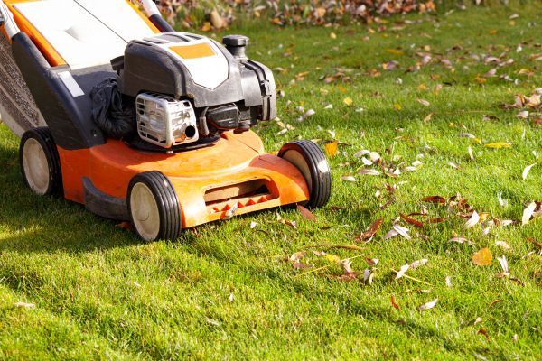 Cost of Fall Mowing in Bainbridge Island