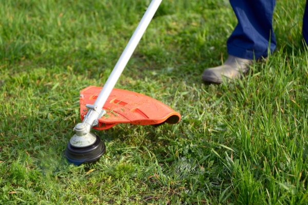 Cost of Lawn Weed Whacking in Bainbridge Island