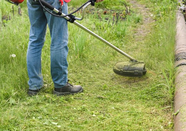 Cost of Tall Grass Trimming in Bainbridge Island